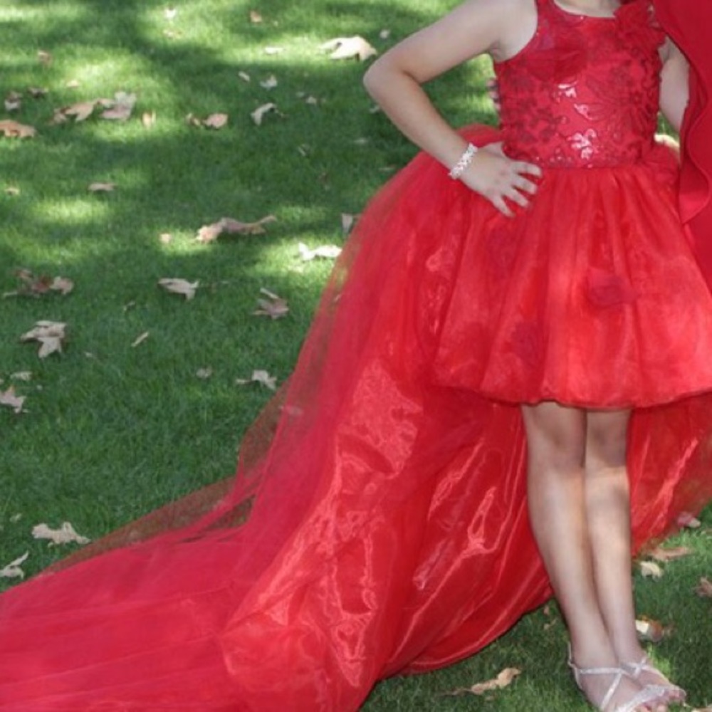 Dress - Picture 2 of 2